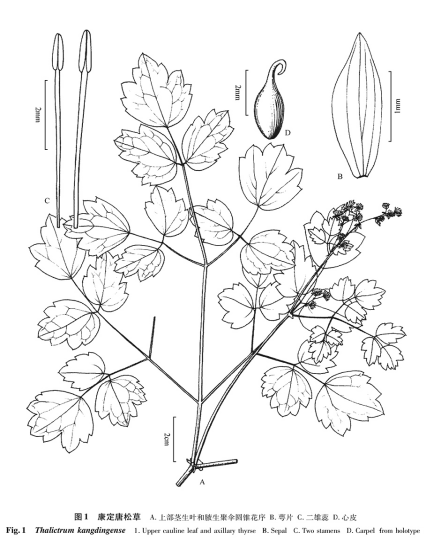 WSK}5_QH23AEOAM03J3W_(0.png